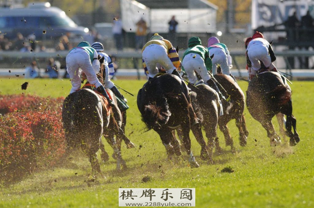 布宜诺市网络博彩合法过关了走去阿根廷种菜